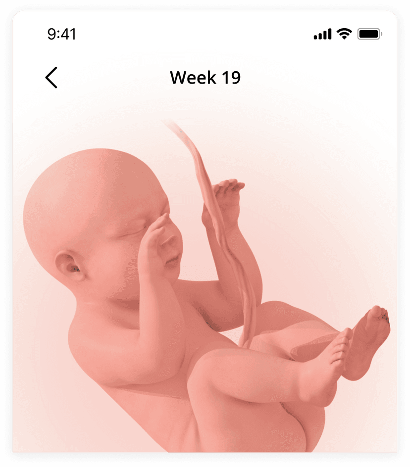 BABY DEVELOPMENT